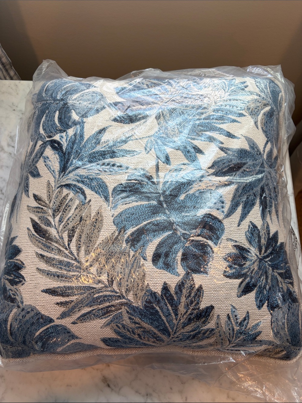 New in package! Set of two blue and beige indoor/outdoor pillows